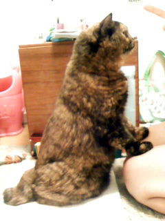 20090717b.jpg