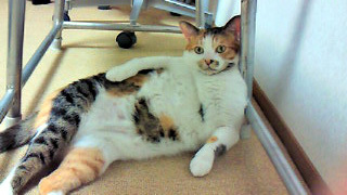 20090813.jpg