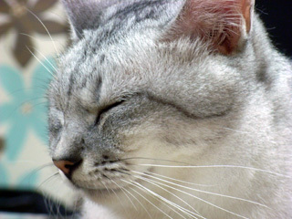 20090926.jpg