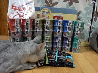 20100720a.jpg