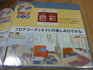 20100720b.jpg