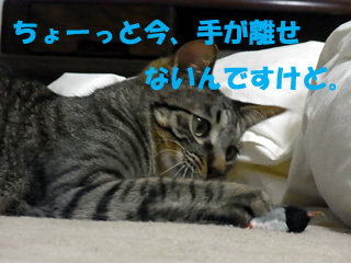 20100727f.jpg