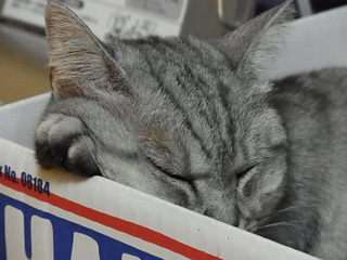 20100809b.jpg