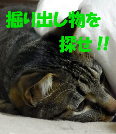 20100910a.jpg