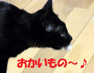20100910b.jpg