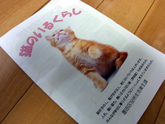 20100923a.jpg
