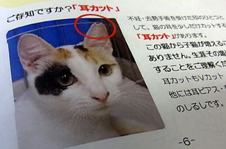 20100923b.jpg