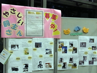 20100923d.jpg