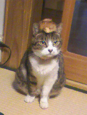 20101025a.jpg