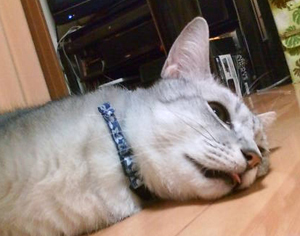 20110401a.jpg