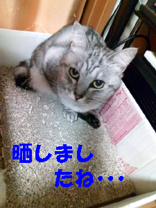 20110421b.jpg