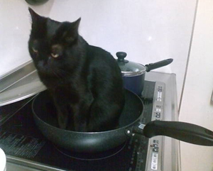 20110511a.jpg