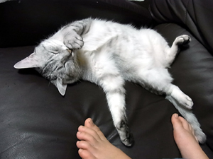 20110526a.jpg