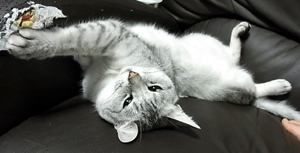 20110526b.jpg