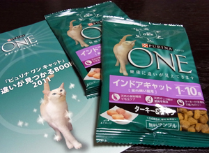 20110711a.jpg