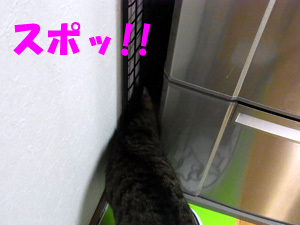 20110822c.jpg