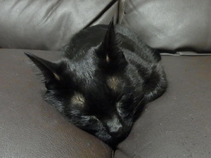 20110824b.jpg