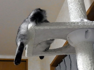20110901a.jpg