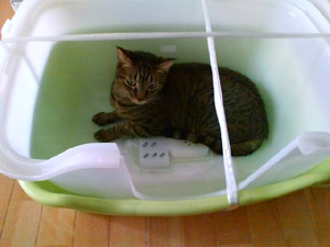 20110907a.jpg