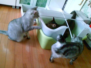 20110907b.jpg