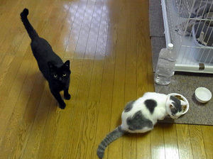 20110912b.jpg