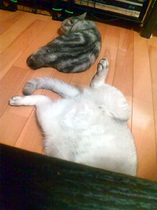 20110916a.jpg