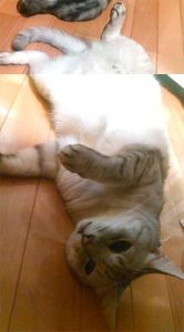 20110916c.jpg