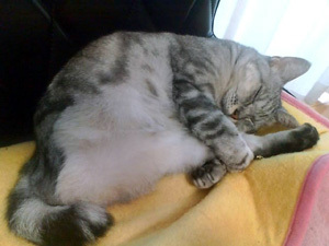 20111024a.jpg