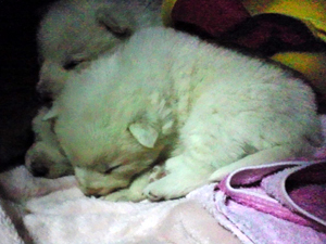 20111128a.jpg