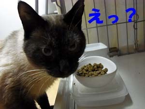 20111219g.jpg