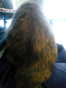 20111222b.jpg