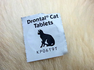 20111227a.jpg