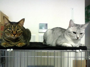20111227c.jpg