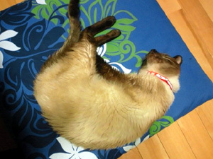 20111227d.jpg
