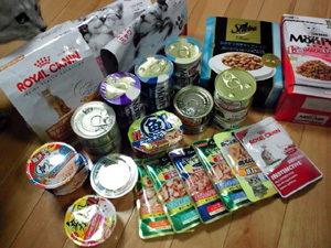 20120105e.jpg