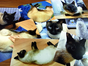 20120110b.jpg
