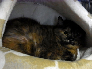 20120117a.jpg