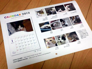 20120125a.jpg