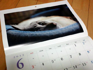 20120125b.jpg
