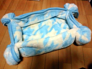 20120126a.jpg