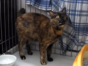 20120206a.jpg