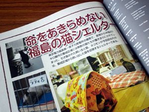20120209a.jpg