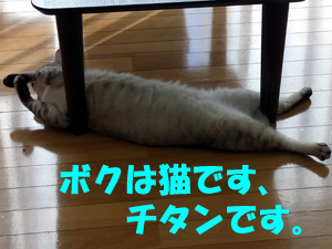 20120221a.jpg