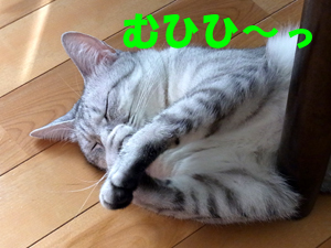 20120221d.jpg
