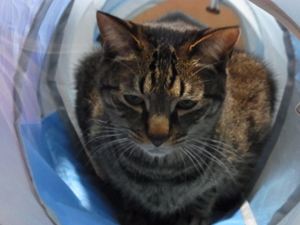 20120315a.jpg