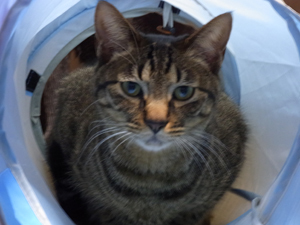 20120315b.jpg