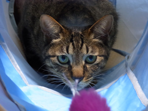 20120315c.jpg