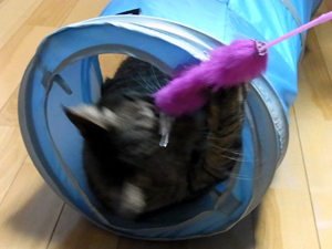 20120315d.jpg