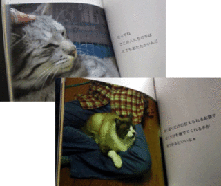 20120402d.gif
