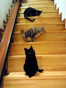 20120405b.jpg